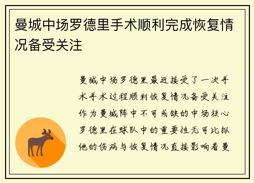 曼城中场罗德里手术顺利完成恢复情况备受关注